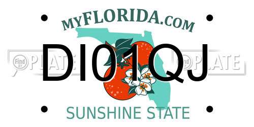 DI01QJ Florida License Plate