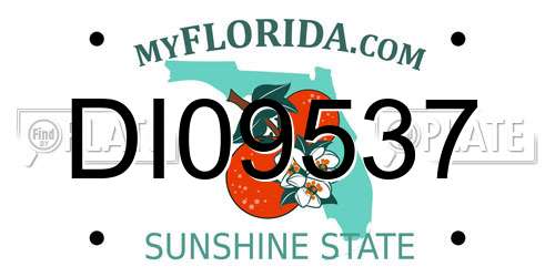 DI09537 Florida License Plate