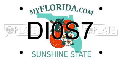 DI0S7 Florida License Plate