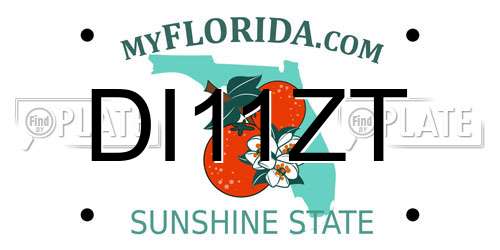 DI11ZT Florida License Plate