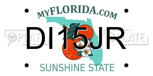 DI15JR Florida License Plate