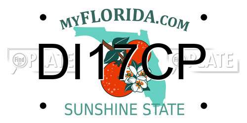 DI17CP Florida License Plate