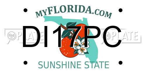 DI17PC Florida License Plate