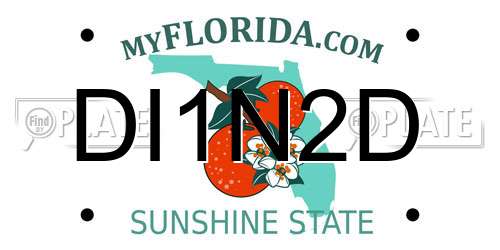 DI1N2D Florida License Plate