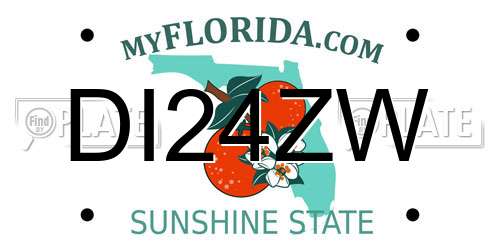 DI24ZW Florida License Plate