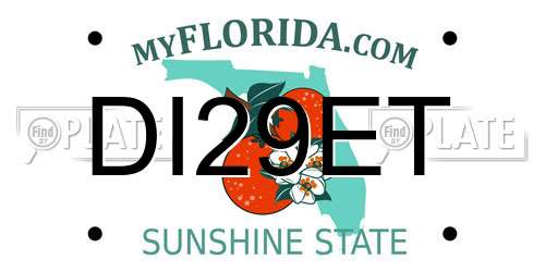 DI29ET Florida License Plate