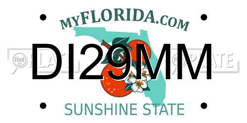 DI29MM Florida License Plate