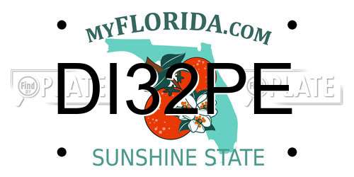 DI32PE Florida License Plate