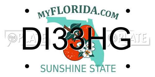DI33HG Florida License Plate