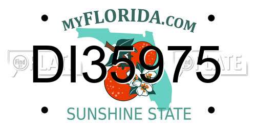 DI35975 Florida License Plate