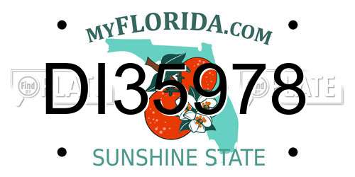 DI35978 Florida License Plate