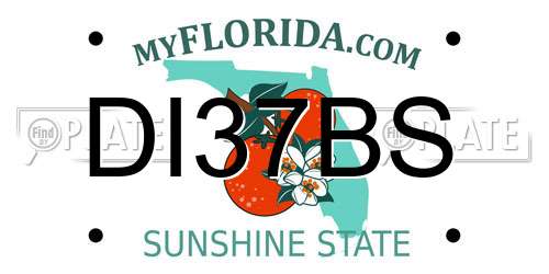 DI37BS Florida License Plate