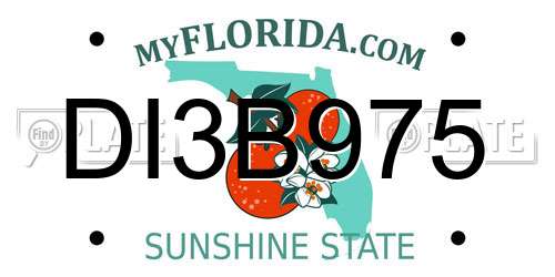 DI3B975 Florida License Plate