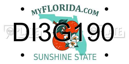 DI3G190 Florida License Plate