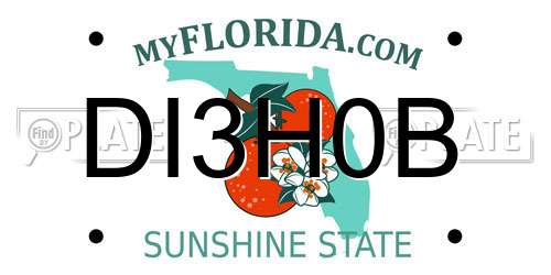 DI3H0B Florida License Plate