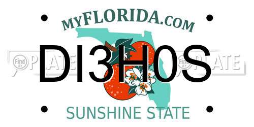 DI3H0S Florida License Plate