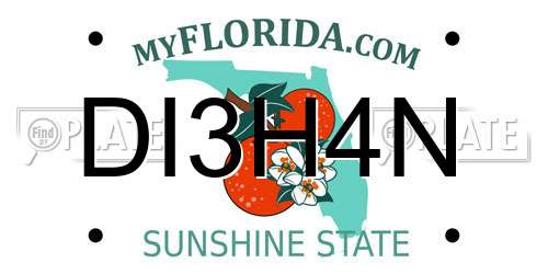 DI3H4N Florida License Plate