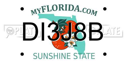 DI3J8B Florida License Plate