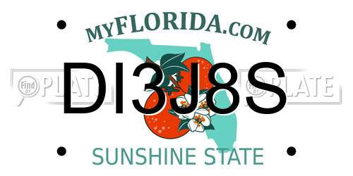 DI3J8S Florida License Plate