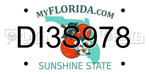 DI3S978 Florida License Plate
