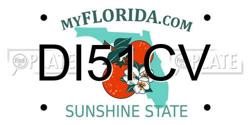 DI51CV Florida License Plate