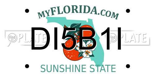 DI5B1I Florida License Plate
