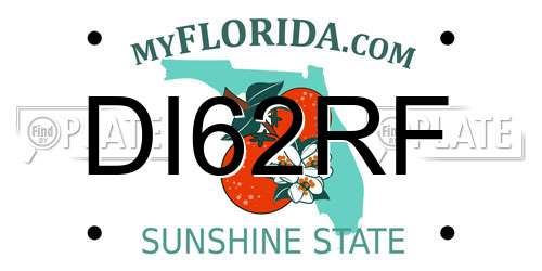 DI62RF Florida License Plate