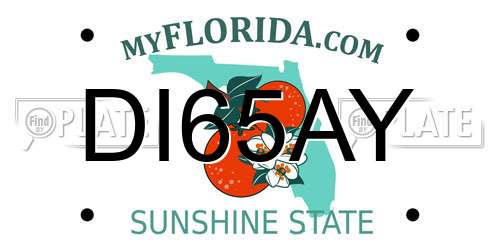 DI65AY Florida License Plate