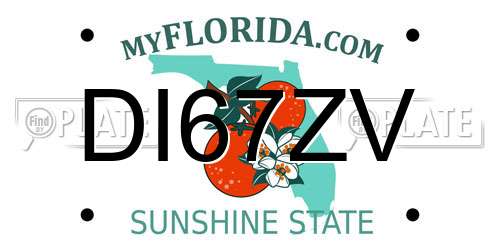 DI67ZV Florida License Plate