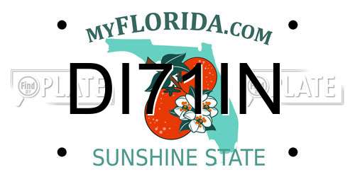 DI71IN Florida License Plate