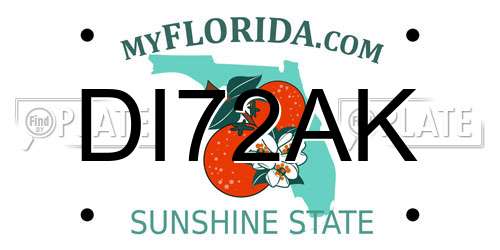 DI72AK Florida License Plate