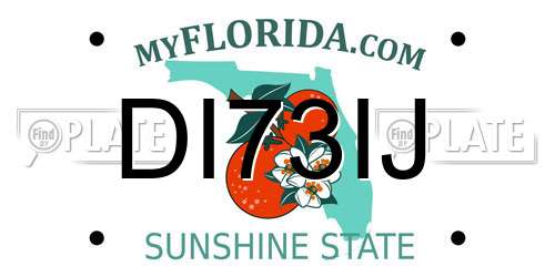 DI73IJ Florida License Plate