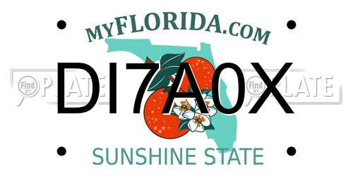 DI7A0X Florida License Plate
