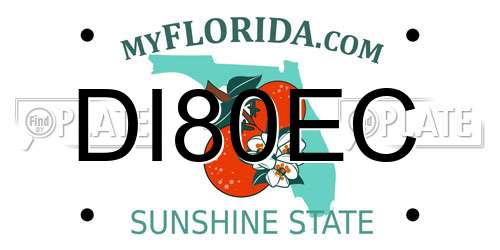 DI80EC Florida License Plate