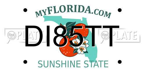 DI85TT Florida License Plate