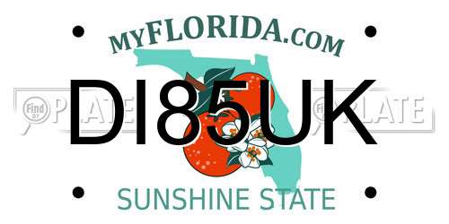 DI85UK Florida License Plate