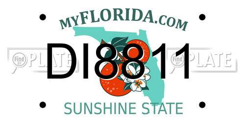 DI8811 Florida License Plate