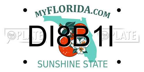 DI8B1I Florida License Plate