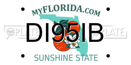 DI95IB Florida License Plate