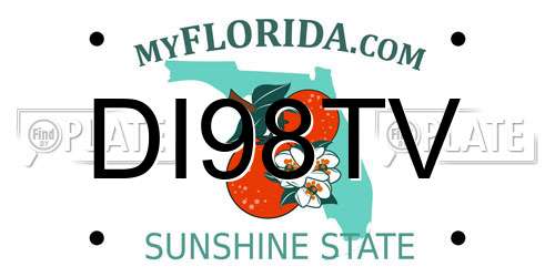DI98TV Florida License Plate