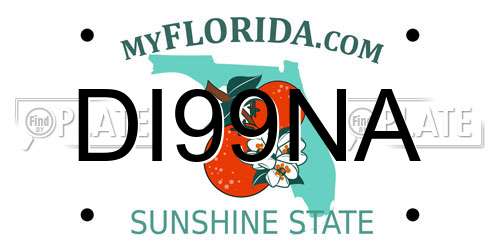 DI99NA Florida License Plate
