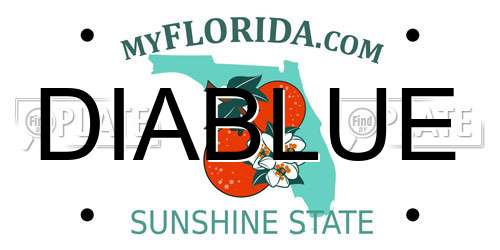 DIABLUE Florida License Plate
