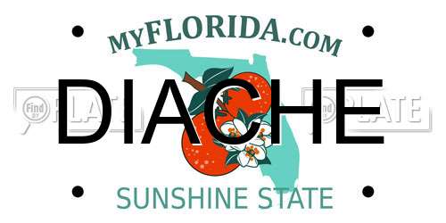 DIACHE Florida License Plate