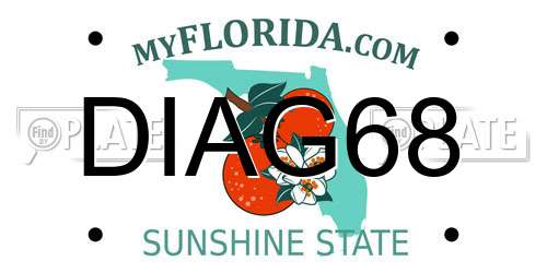 DIAG68 Florida License Plate