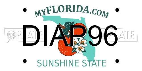 DIAP96 Florida License Plate
