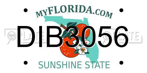 DIB3056 Florida License Plate