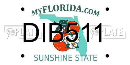 DIB511 Florida License Plate
