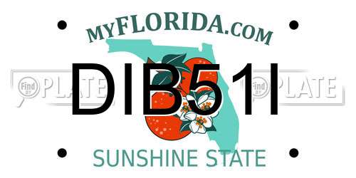 DIB51I Florida License Plate