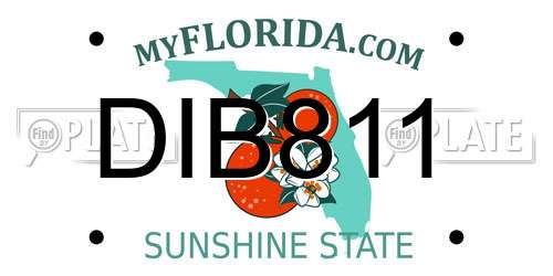 DIB811 Florida License Plate