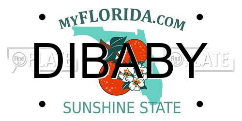 DIBABY Florida License Plate